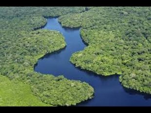 La cuenca (bassin) del Amazonas